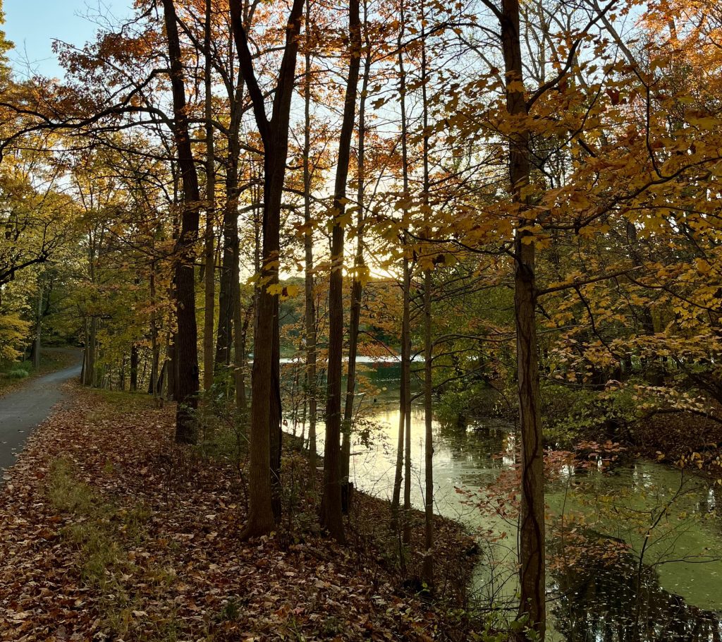 It's Okay to Feel&nbsp;Small