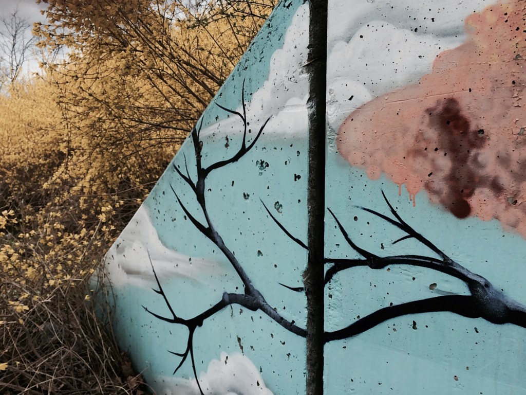 All Tangled Up and Everywhere to&nbsp;Go